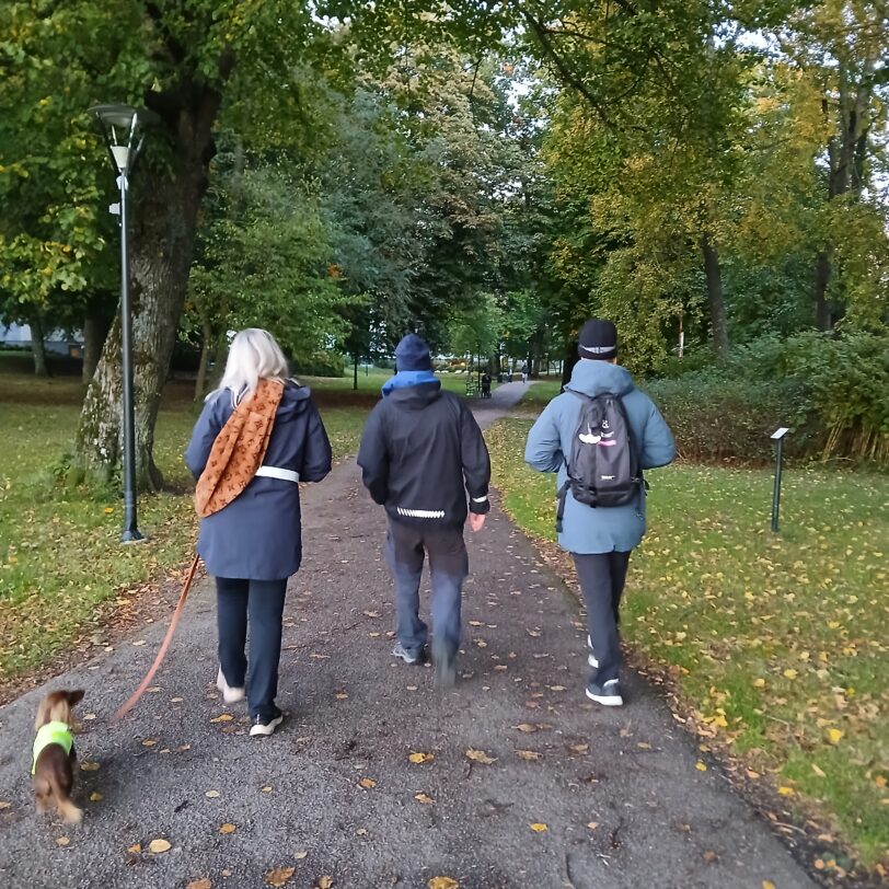 Promenad med trygghetsvärdarna (Villan)